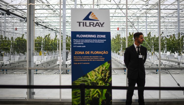 Tilray stock rallies under a pot distribution agreement with Grow Pharma

