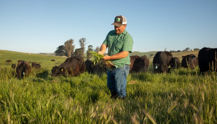 Pay farmers to reduce their carbon footprint

