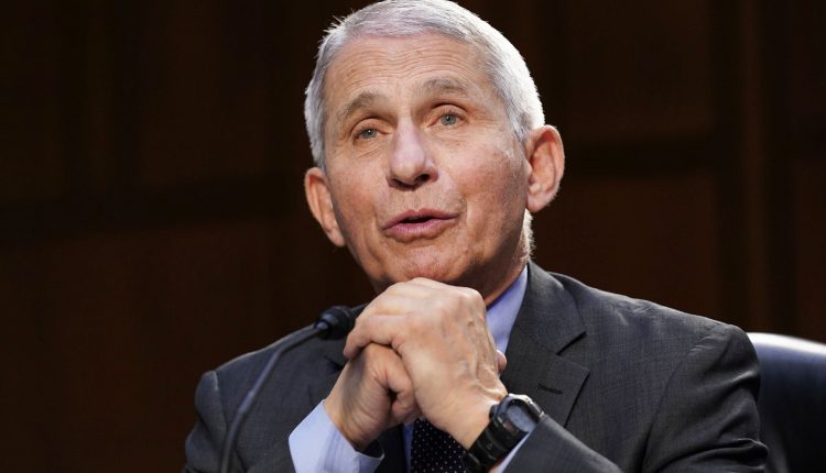  Dr.  Peter Hotez supports Fauci in his showdown with Senator Paul over masks

