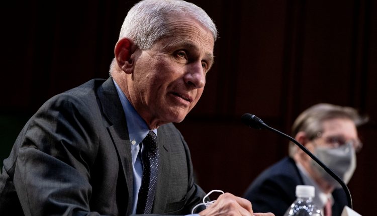 According to Fauci, UK variants likely account for up to 30% of US infections

