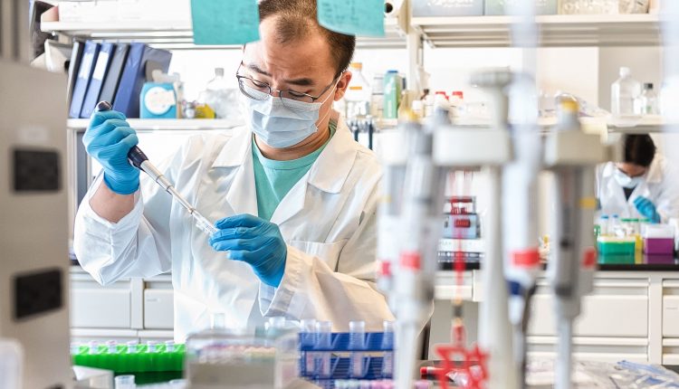 Study shows promising immune response against variants

