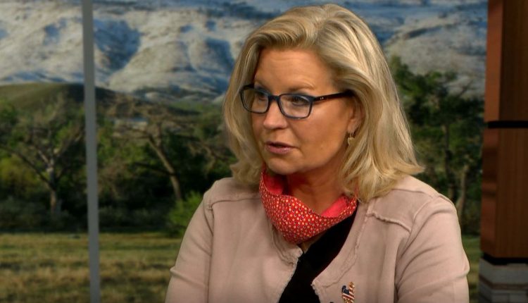 Trump's fascist cabal is targeting Liz Cheney for being an American patriot

