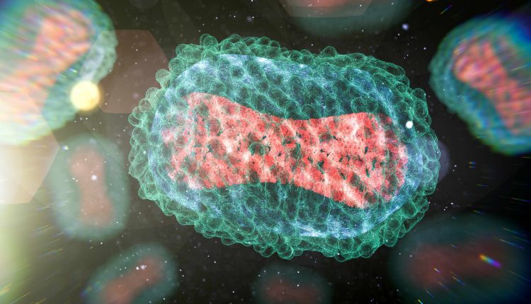 scientists worry virus could infect animals
