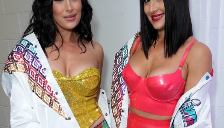 Nikki and Brie Bella are leaving WWE and dropping their ring names

