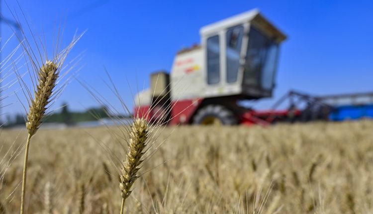 China needs Ukraine for food and could save the Black Sea grain deal