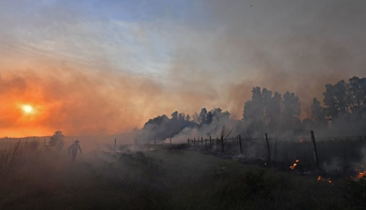 Global air and sea temperatures hit all-time record in July