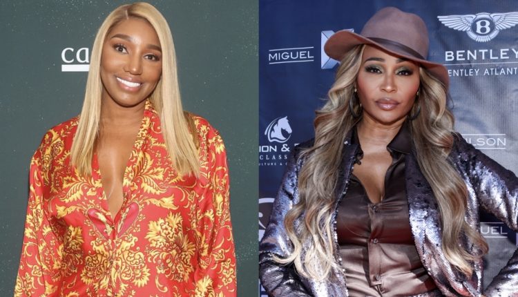 NeNe Leakes Says She & Cynthia Bailey Squashed Their Beef