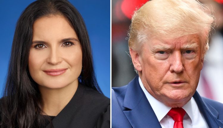 Trump admits various people saw papers, boxes brought from White House