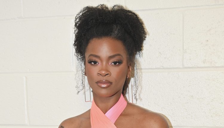 Ari Lennox Comes Close To Throwin' Hands With A Fan (Video)