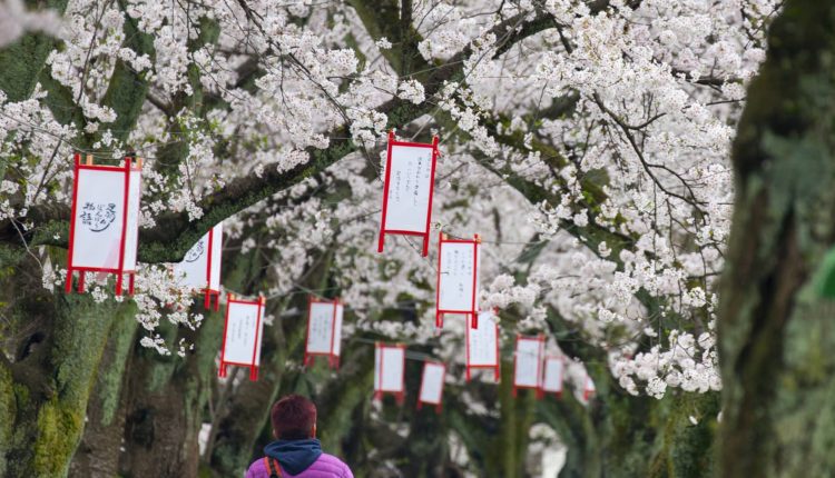 what to do along new bullet train route