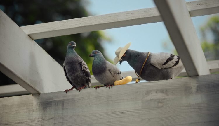 DirecTV is pushing ahead with its pay-TV package – without a satellite dish

