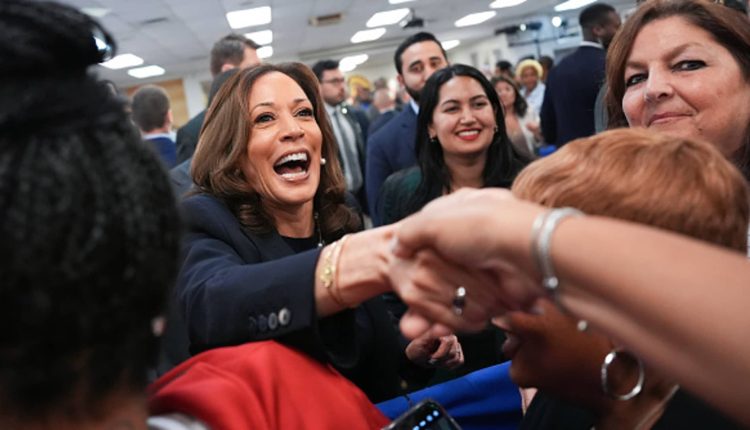 Harris campaign plans $370 million ad campaign in key battlegrounds this fall

