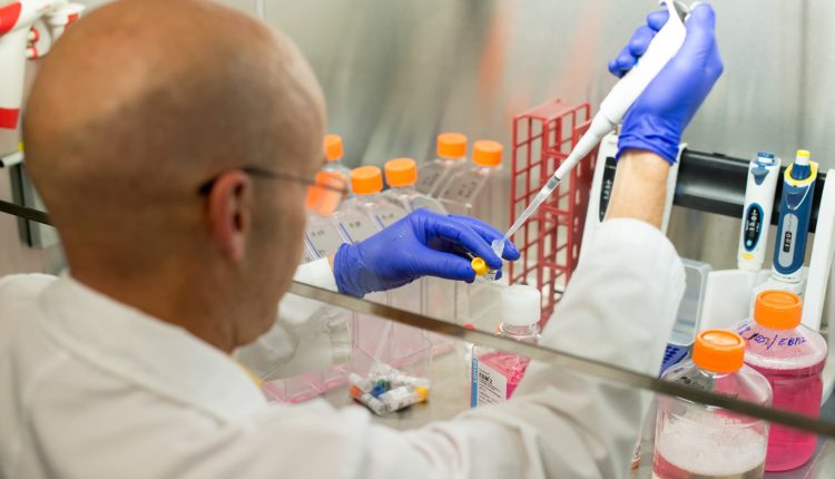 Recursion receives FDA approval to begin Phase 1 trials of AI-discovered cancer treatment

