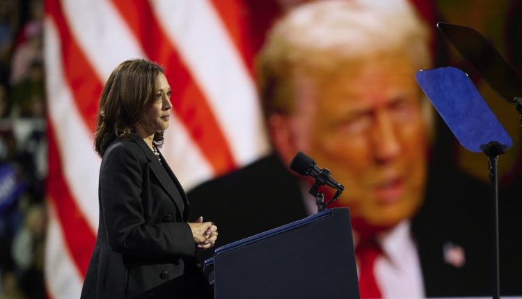 French trader bet $28 million on Trump's victory using 4 Polymarket accounts

