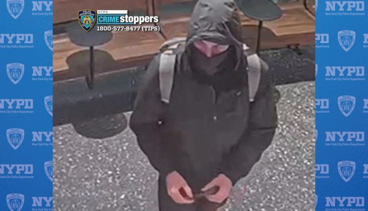 United Healthcare CEO Shooting: Executives Worry About Safety

