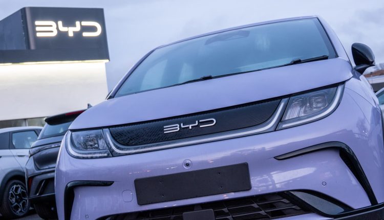 BYD shares the rally

