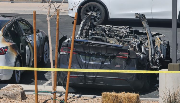 The Tesla -sk Force, launched by the FBI, quotes domestic terrorism

