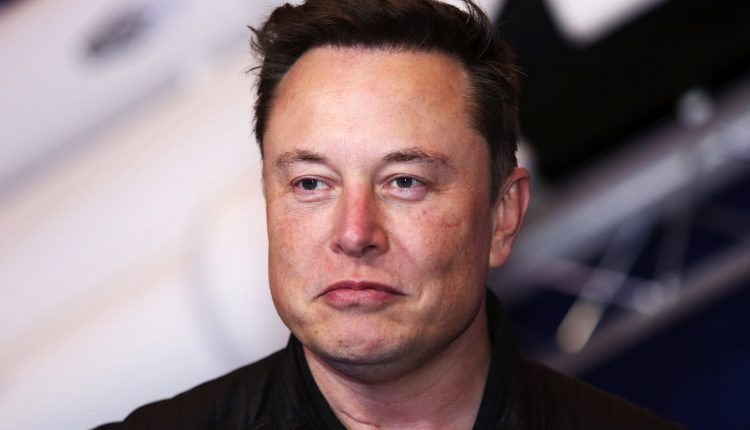 Elon Musk should apologize for making fun of gender pronouns, says HRC